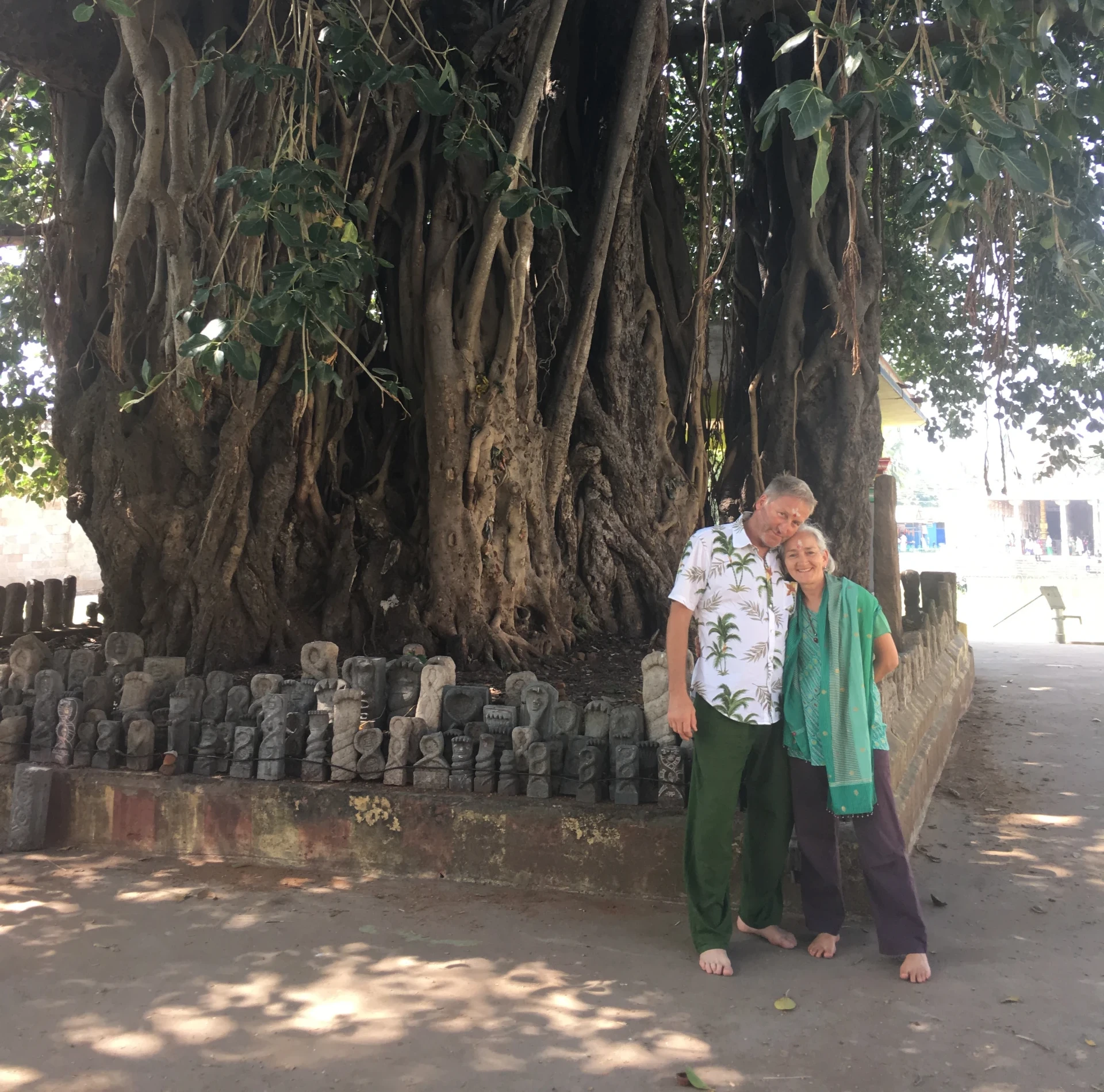 Lynda and Andy under a glorious Banyan tree